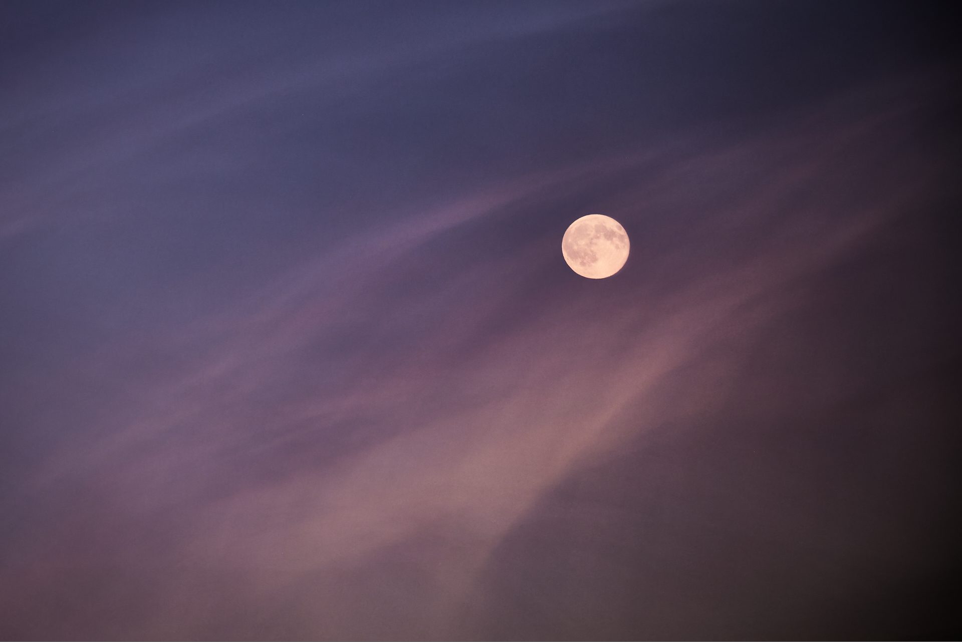 20251007-IMG_8161-CR3_1