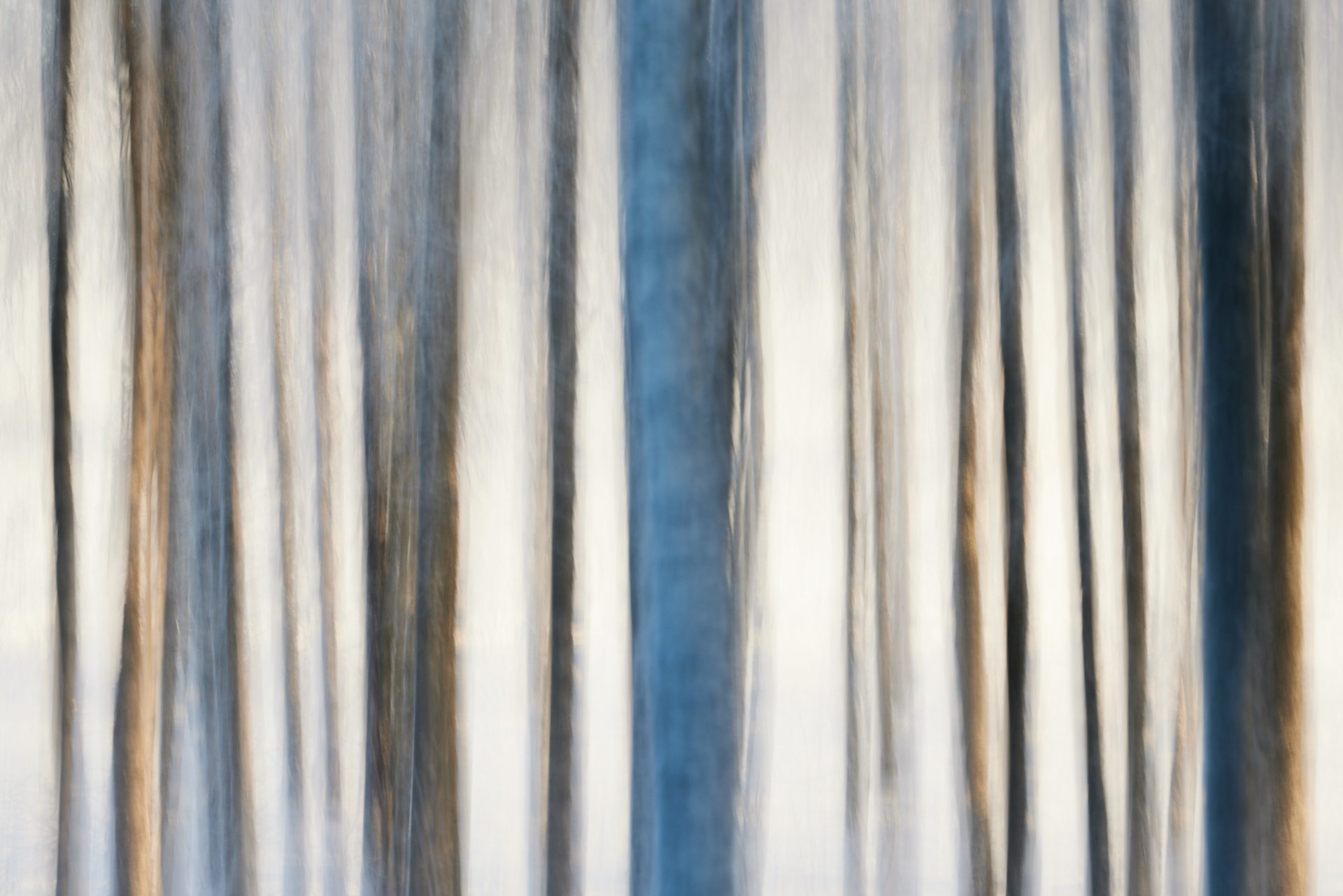 _MG_2316
